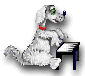 Poodle #1 on piano